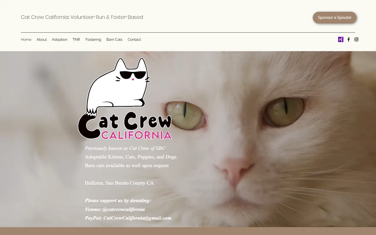 Cat Crew California website