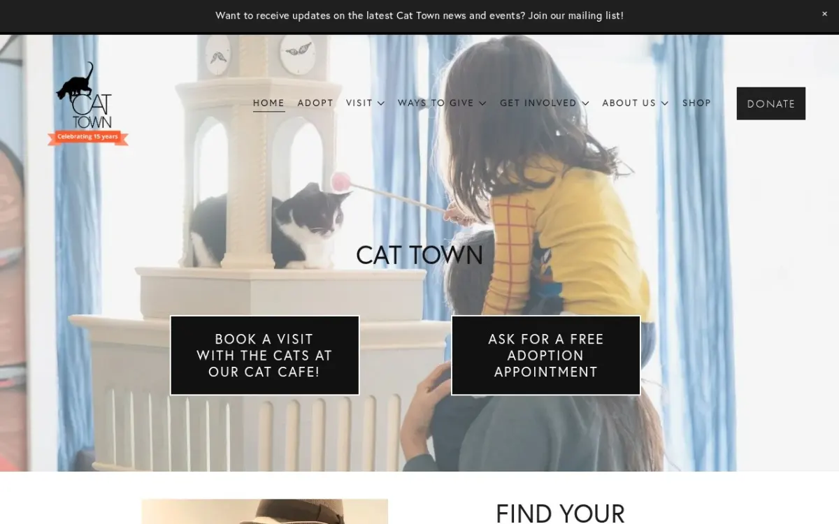 Cat Town website