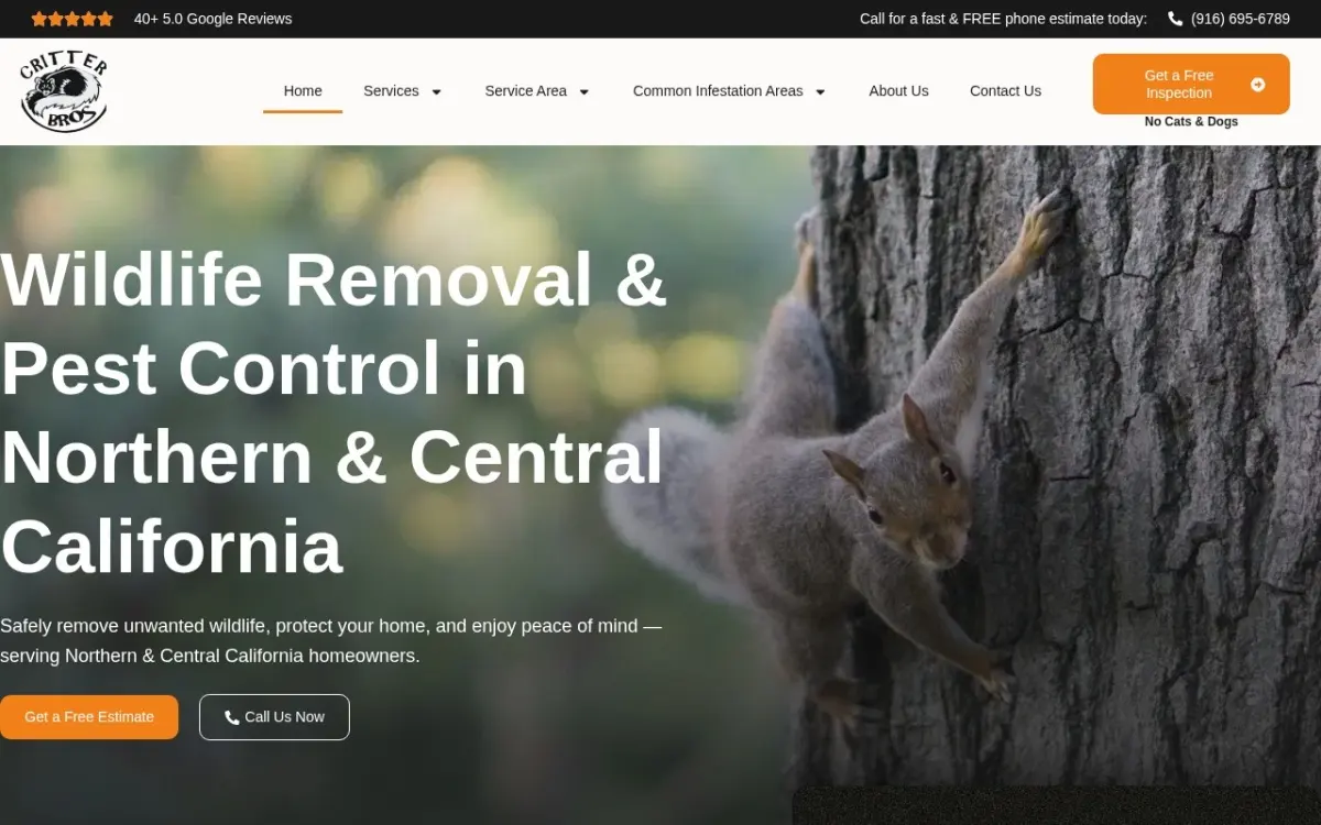 The Critter Bros website as built