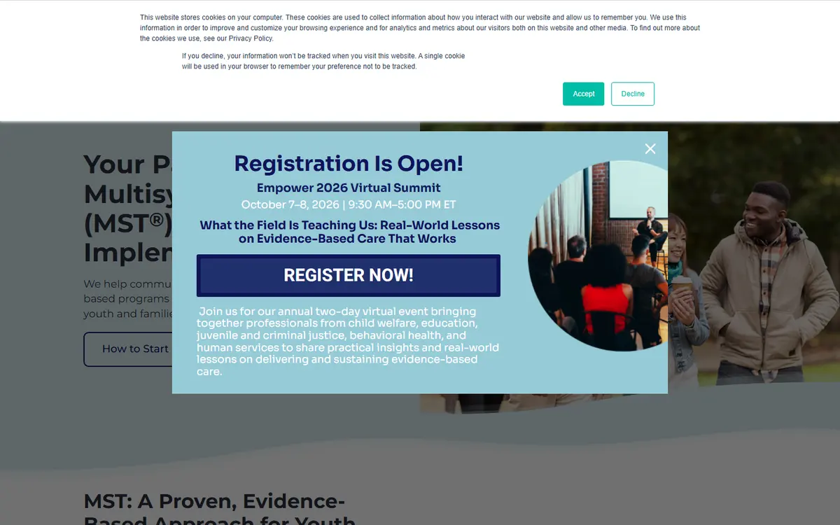 The MST Services website as built