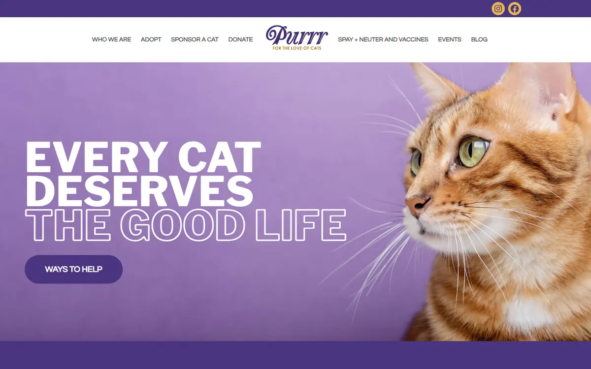 PURRR website