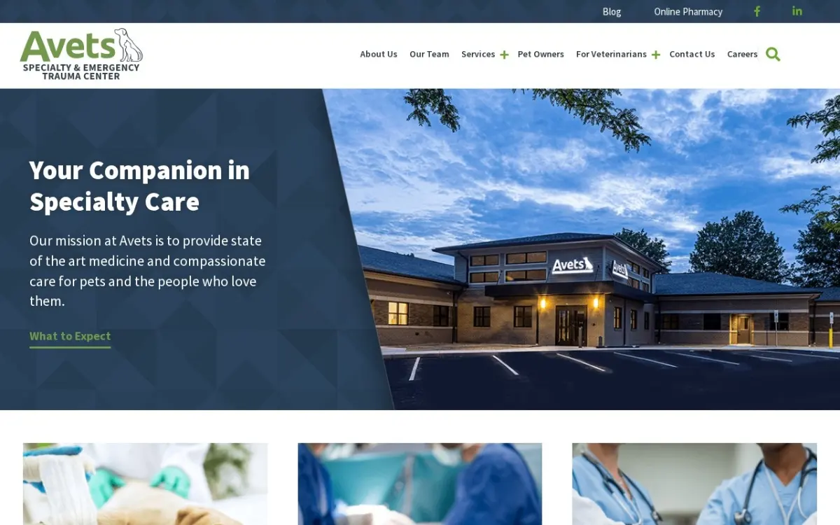 The Avets Specialty & Emergency Trauma Center website as built