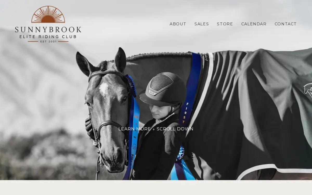 The SUNNYBROOK website as built